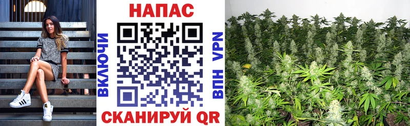 Конопля SATIVA & INDICA  Купить где  Усолье-Сибирское 